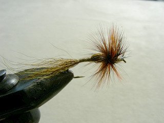 Dry Flies & Wulfs f50
