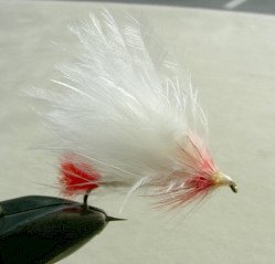 Streamer Fly f64