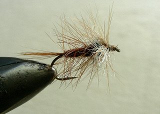 Dry Flies & Wulfs f69