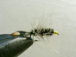 Dry Flies & Wulfs f71