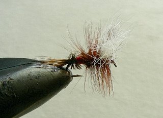Dry Flies & Wulfs f73