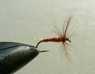 Dry Flies & Wulfs f74