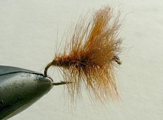 Dry Flies & Wulfs f75