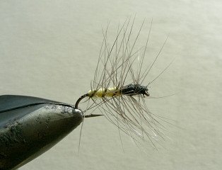 Dry Flies & Wulfs f77