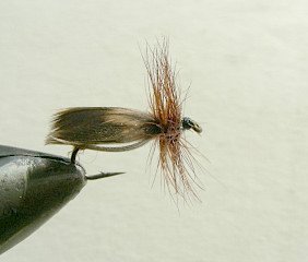 Dry Flies & Wulfs f80