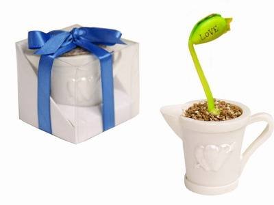Magic Beans of Love Set of 4
