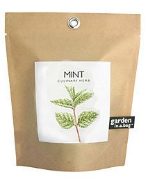 Mint Garden in a Bag