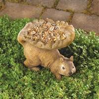 Woodland Squirrel