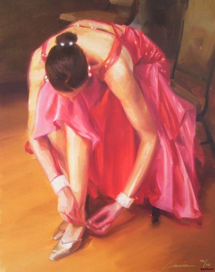 CARRIE GRABER THINK PINK dress HS# CANVAS ballerina COA