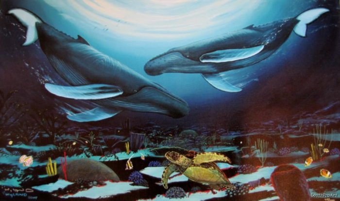 WYLAND HUMPBACK DANCE whale sea turtleHS&# CANVAS COA