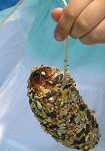 Pine Cone Bird Feeder