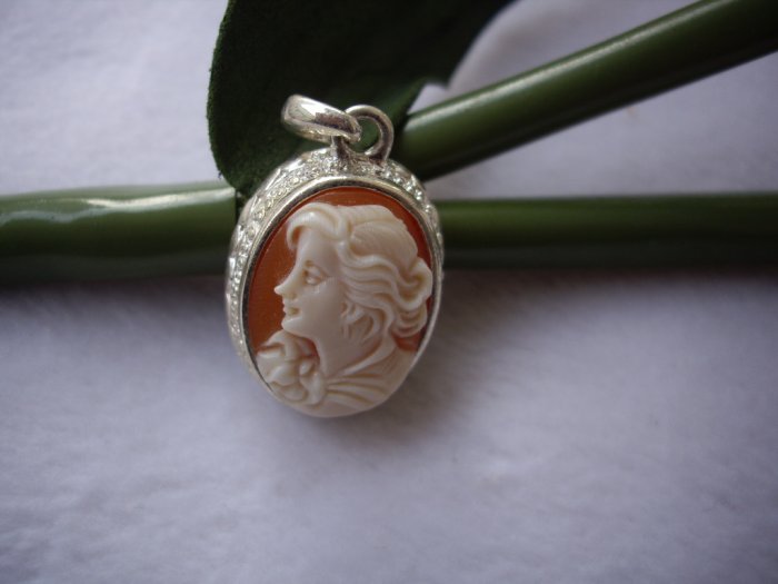 a lovely hand carved real shell beautiful lady cameo