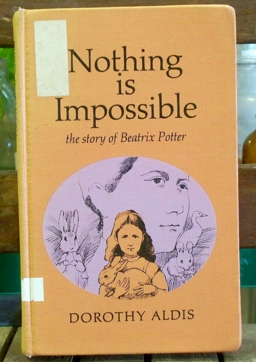 Nothing Is Impossible, Dorothy Aldis
