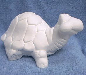 Lets Share A Shell