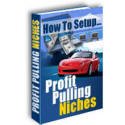 How To Setup Profit Pulling Niches