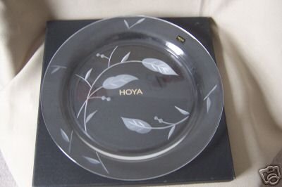 HOYA Crystal Plate Platter With Leaves Pattern NIB