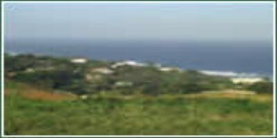 Vacant Land