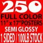250 1 sided Glossy Posters