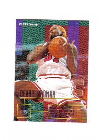DENNIS RODMAN 95-96 FLEER #213