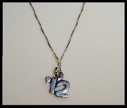 2012 Senior Graduation School Necklace - 18" Solid Sterling Silver