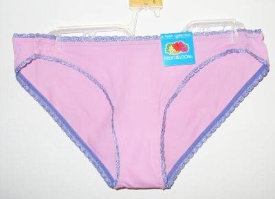 brand new Fruit of the Loom Nylon Panties size 6 NWT