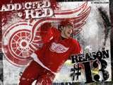 Red Wings Jersey