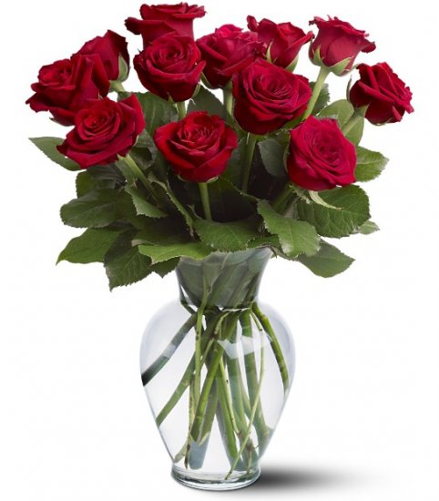 Freesh Sofia Roses