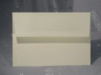 Set of 10 --- MATCHING ENVELOPES FOR MOUNT CARD CUSTOM PHOTO INVITATIONS ANNOUNCEMENT