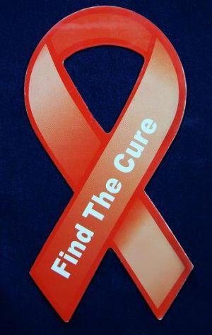Small Magnet Ribbon