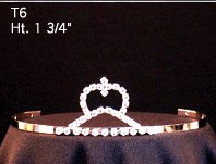 T6