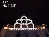 T17