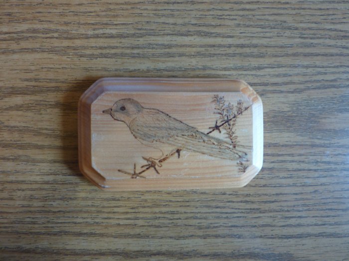 Sparrow