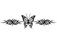 butrfly002