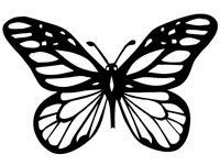 butrfly007