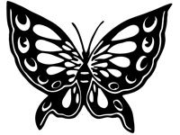 butrfly010