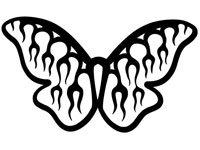 butrfly011