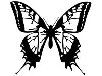butrfly016
