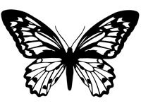 butrfly017