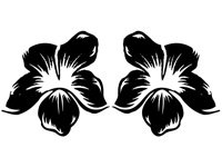 flo006