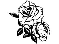 flo008