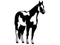 hors002