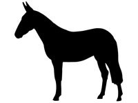 hors003