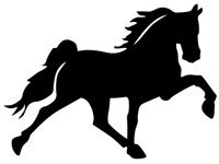 hors005