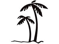 palm005