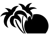 palm006
