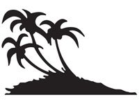 palm007