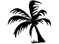 palm009