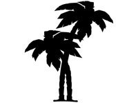 palm014