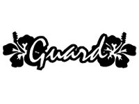 cg001