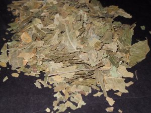 1/4 LB Organic NEEM LEAF -India- Azadirachta Indica